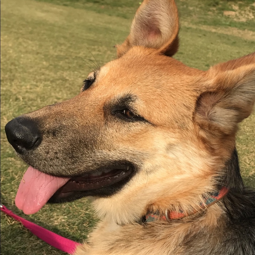 Meet your Posher, Gabriel